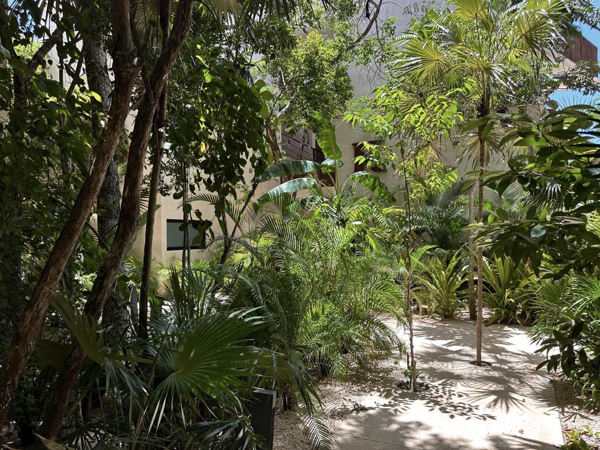 Ophelia Tulum Condo In Aldea Zama Extérieur photo