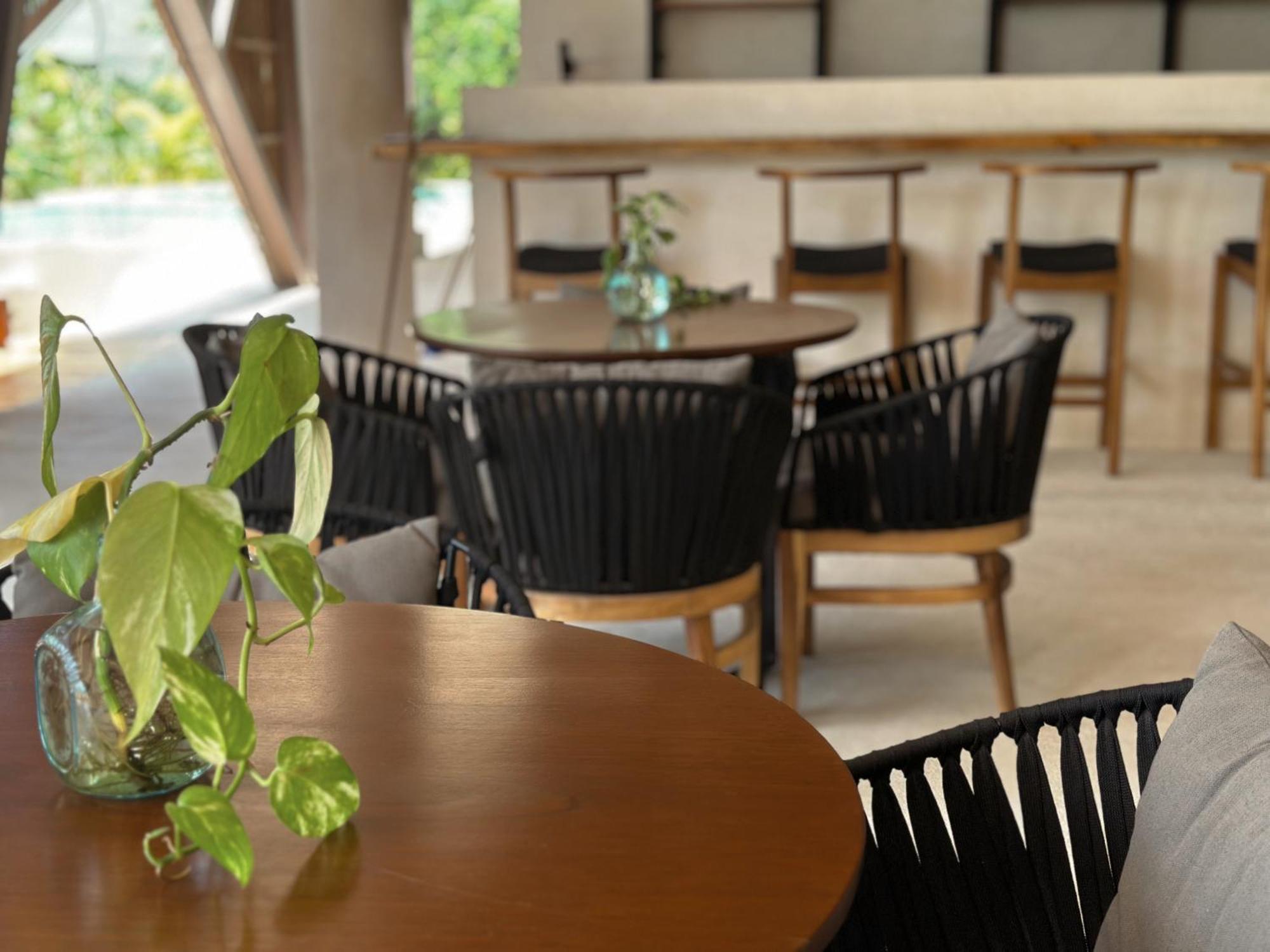 Ophelia Tulum Condo In Aldea Zama Extérieur photo